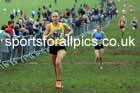 Senior Women, 2024 CAU Inter Counties Cross Country Champs., Wollaton Park, Nottingham. Photo: David T. Hewitson/Sports for All Pics